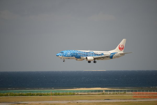 那覇空港(4)：青ジンベイ
