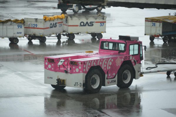 那覇空港(5)：さくらジンベイトーイングカー