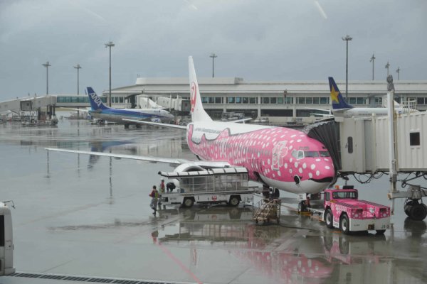 那覇空港(6)：さくらジンベイ
