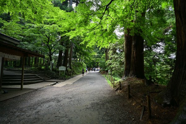 中尊寺(3)