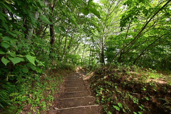 北山崎(5)
