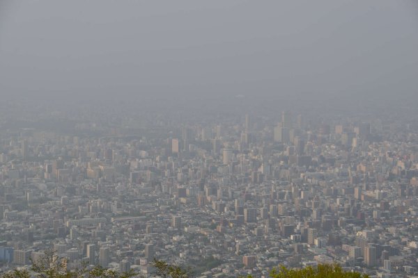藻岩山(4)