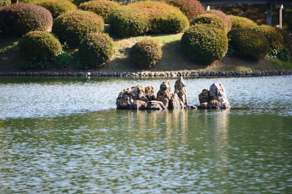 栗林公園(6)：南湖