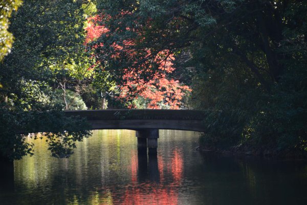 栗林公園(10)：永代橋
