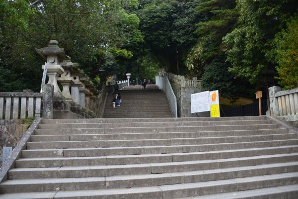 金刀比羅宮(4)：階段