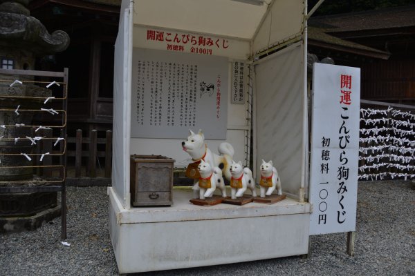 金刀比羅宮(16)：おみくじ