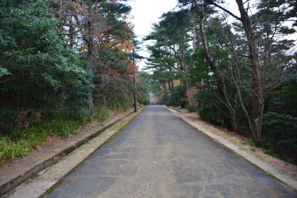 屋島(7)：屋島ケーブルへの道