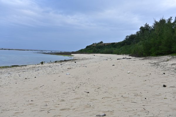 シンデ浜(3)