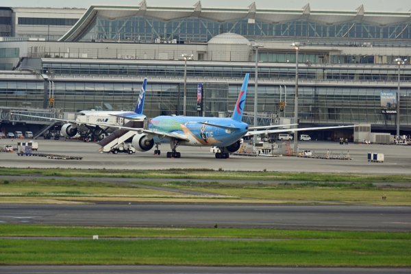 羽田空港：T3前の特別塗装機