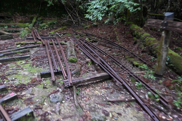 安房森林軌道：トロッコ分岐点？
