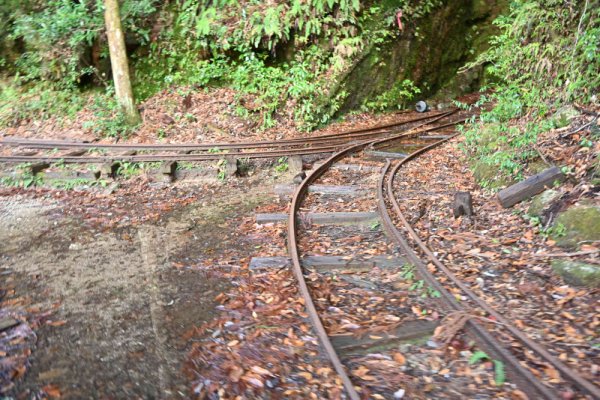 安房森林軌道：引き込み線