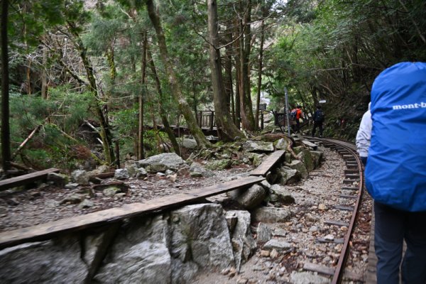 大株歩道入口