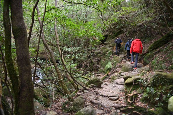 大株歩道：登山道