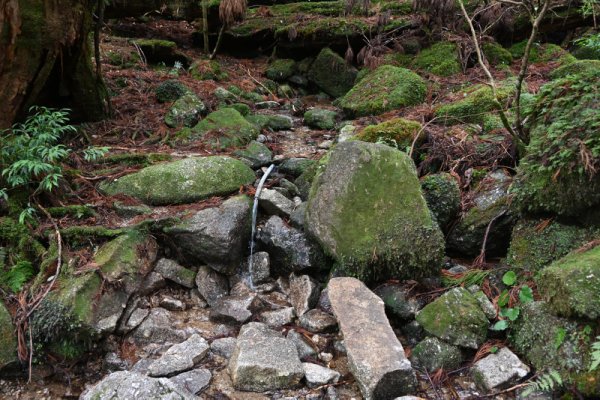 大株歩道：昼食場所の給水