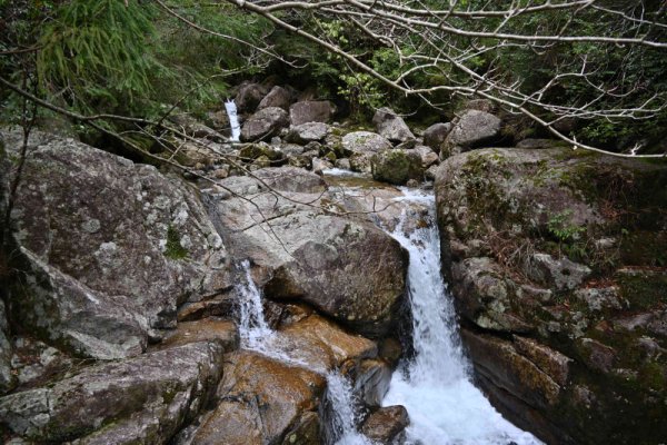 大株歩道起点の橋から