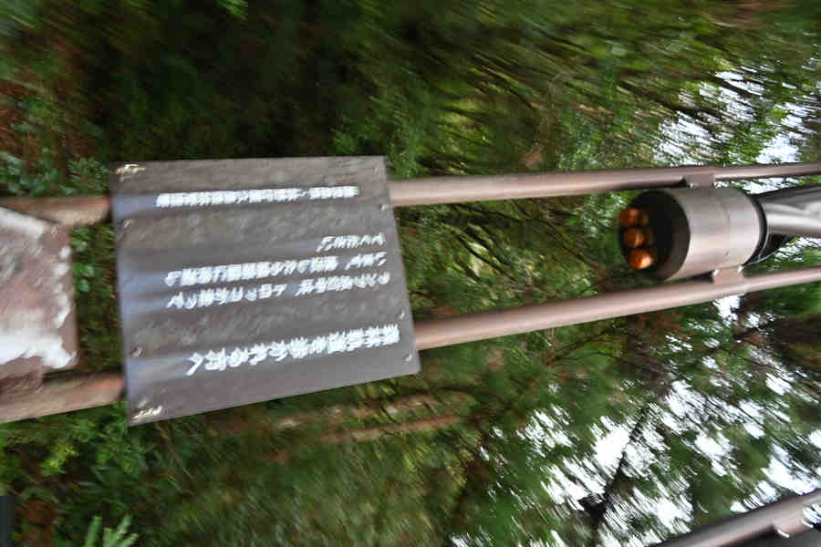 安房森林軌道：信号