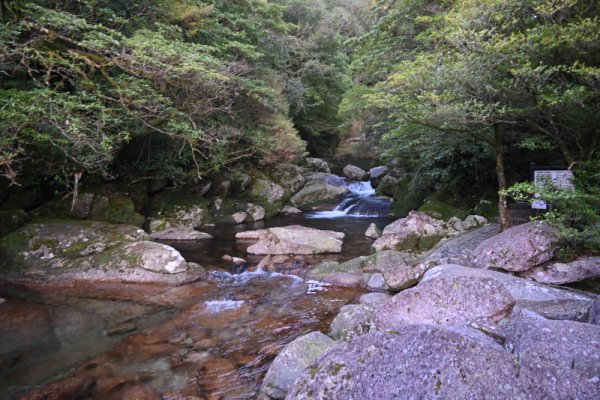 楠川歩道：白谷川