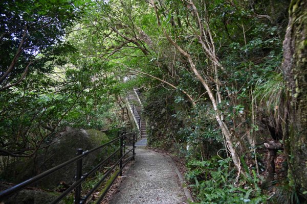 展望台の間の階段