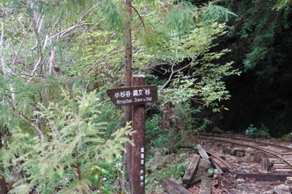 安房森林軌道：スタート地点の道標