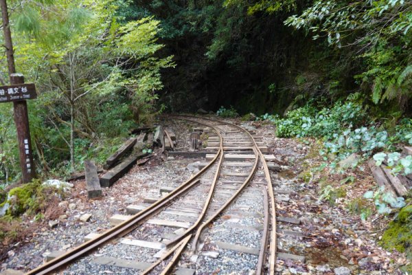 安房森林軌道：荒川登山口
