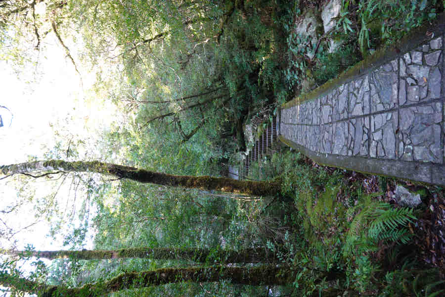 楠川歩道：歩きやすい散策路