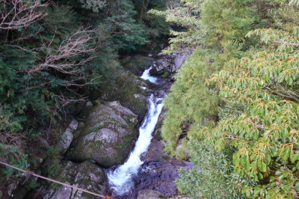 楠川歩道：さつき吊り橋からの白谷川上流