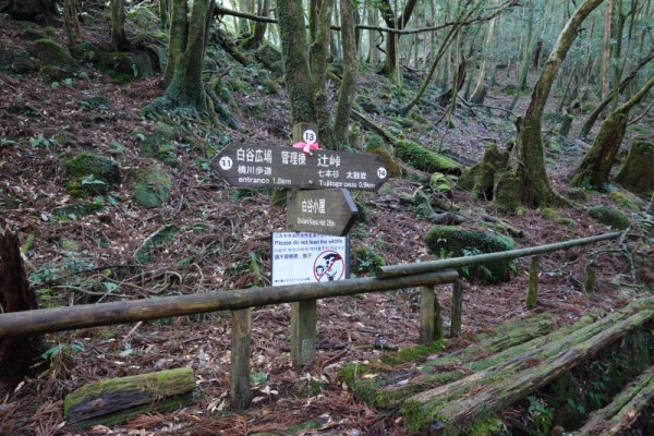 白谷小屋