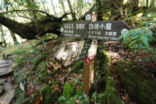 楠川歩道：分岐点の道標