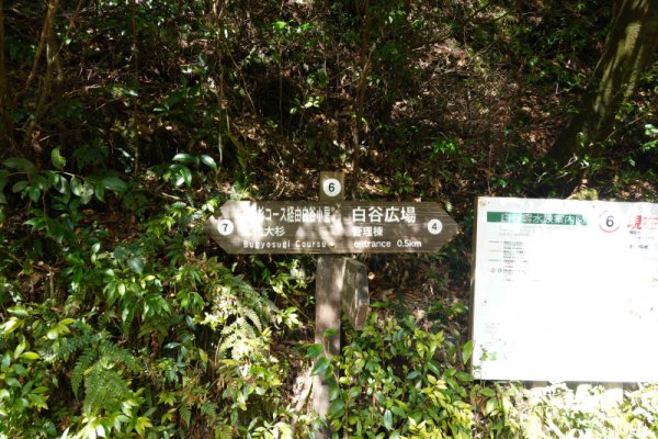 楠川歩道：道標