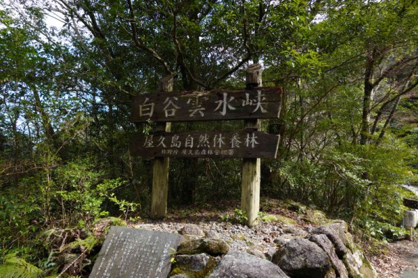 白谷雲水峡の看板
