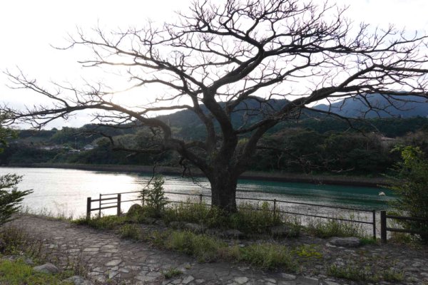 宮之浦川(3)