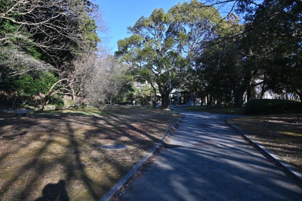 亀山公園
