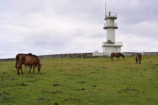 東崎灯台と与那国馬