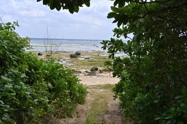 空港周辺散策(10)：海岸線