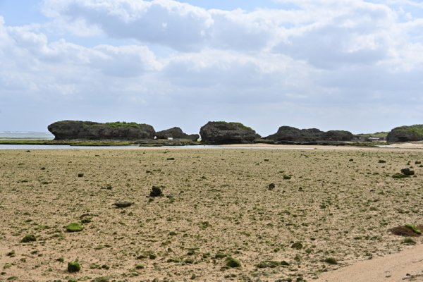 空港周辺散策(14)：海岸線