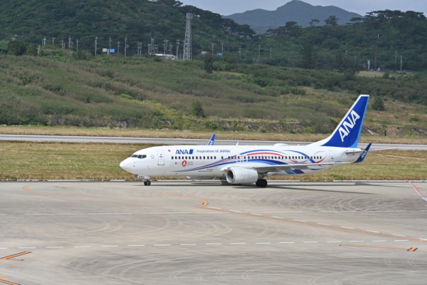 展望デッキから(3)：ANAの特別塗装機
